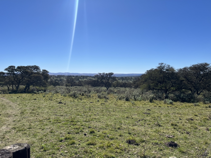 0 Bedroom Property for Sale in Stutterheim Rural Eastern Cape